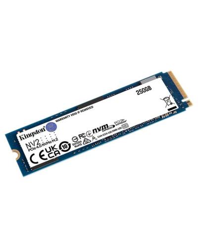 SSD KINGSTON 250G NV2 